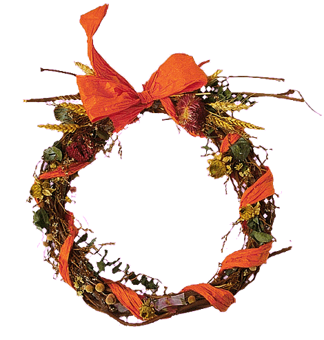 fleurs et nature (100).gif